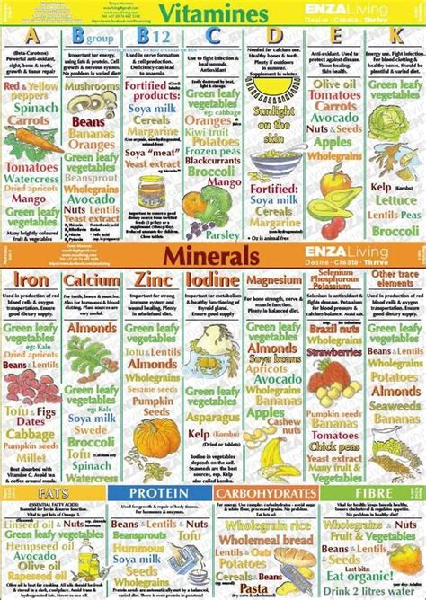 Foods High In Vitamins And Minerals Chart Chart Walls