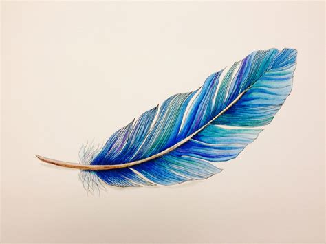 Feather Drawn With Pen And Ink And Inktense Pencils Feather Drawing