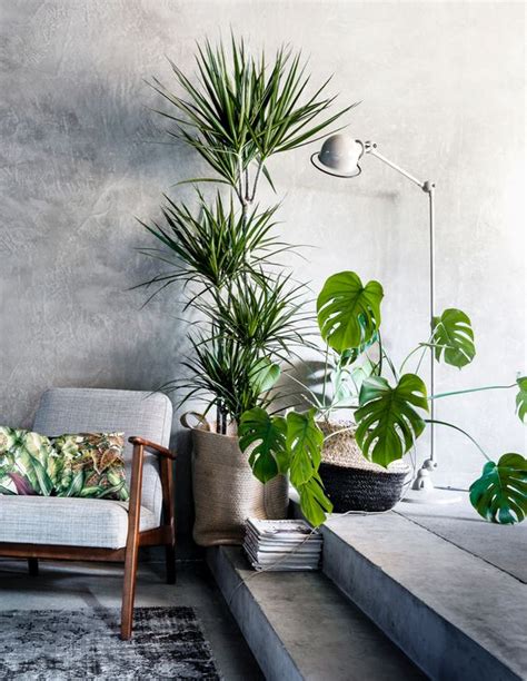 10 Beautiful Ways To Decorate Indoor Plant In Living Room