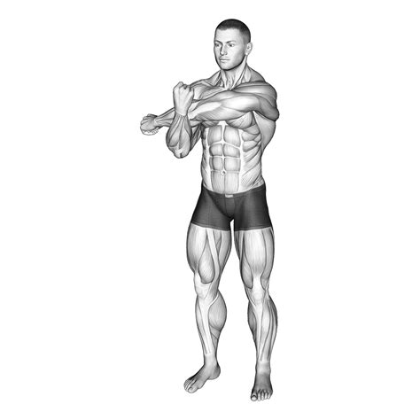 3 Best Rear Deltoid Stretches With Pictures Inspire Us
