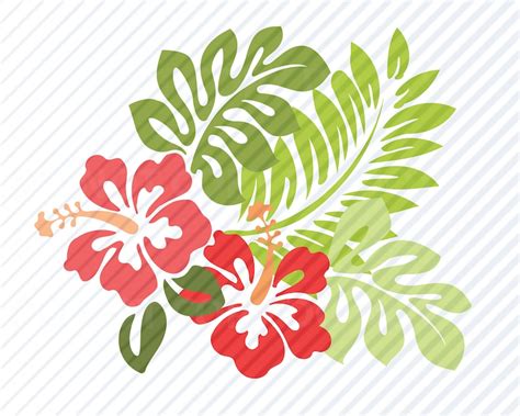 Hibiscus Flowers 2 SVG Files for Cricut Vector Images - Etsy