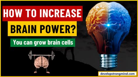 how to increase the brain power you can grow your brain cells