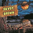 After 45 years, Savoy Brown still has the chops - Toledo Blade