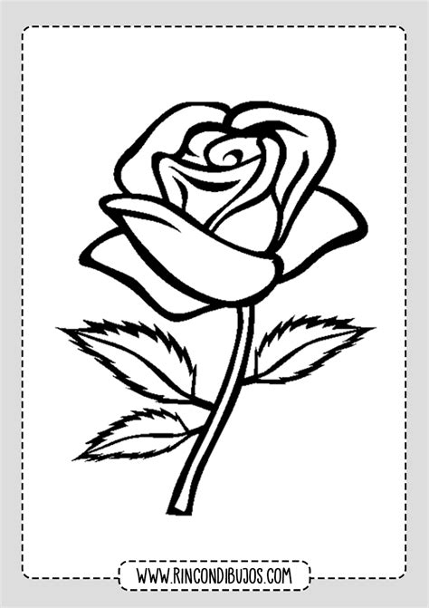 Dibujos De Rosas Para Colorear Imprimir Y Pintar Rosas Gratis