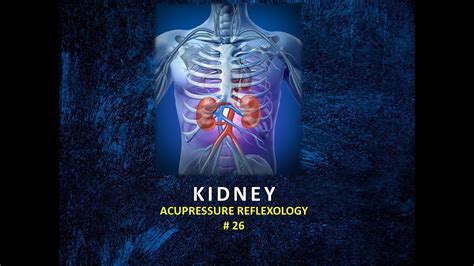 Acupressure Reflexology Point 26 Kidney Youtube