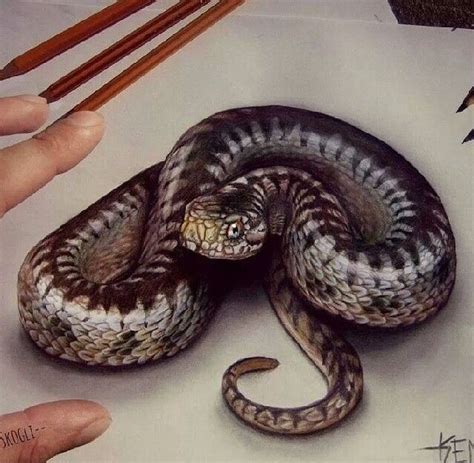 Gudskjelov 15 Vanlige Fakta Om Rattlesnake Realistic Pencil Snake
