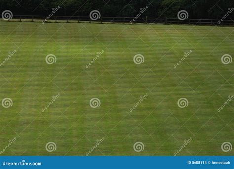 Green Grassy Lawn Stock Photo Image Of Natural Trim 5688114