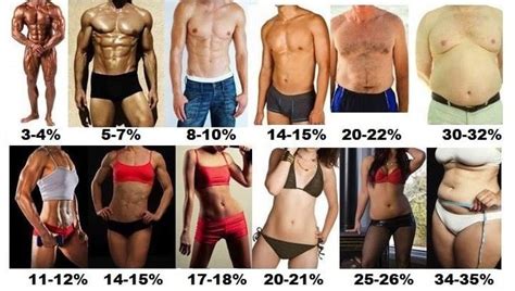 What Is The Lowest Body Fat Percentage Ever And Other Fascinating Bfp Facts