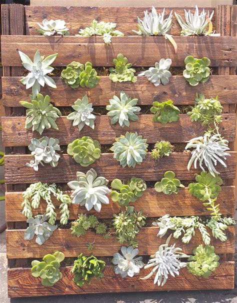 Can You Say Vertical Garden Good Now How About Repurposed Pallets