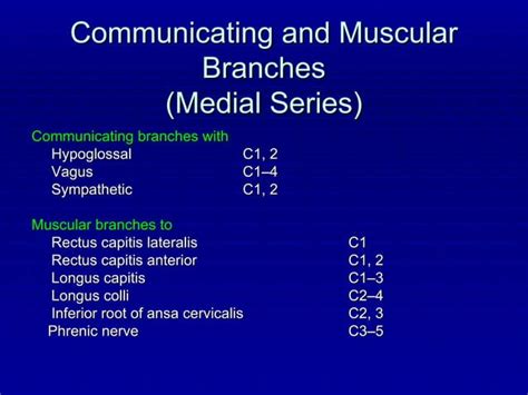 The Cervical Plexus