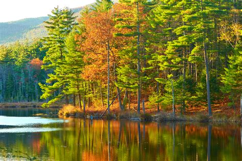 Beautiful Fall Foliage Cruises And Tours In The Lakes Region Nh