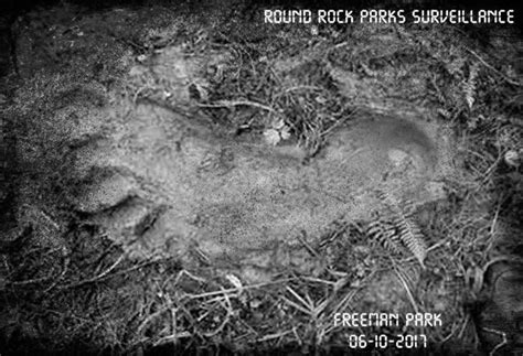 Round Rock Officials Reveal The Truth Sort Of On Local Bigfoot