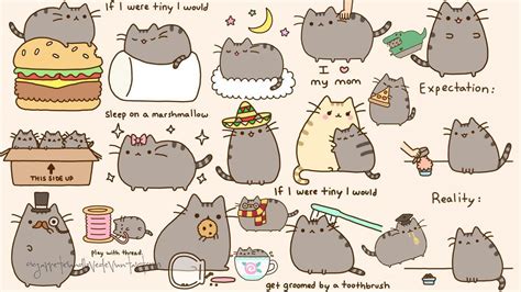 Download the free graphic resources in the form of png, eps, ai or psd. Pusheen Wallpapers - Wallpaper Cave