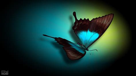 Blue Butterfly Wallpaper 75 Pictures