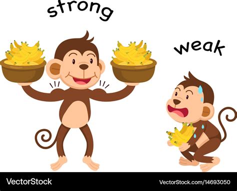 Opposite Words Strong And Weak Royalty Free Vector Image