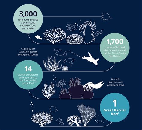 What Is The Value Of The Great Barrier Reef To The Great Australian Public