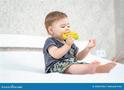 Curious Infant Baby Boy Biting Rattle Toy Sitting On Bed In A Sunny