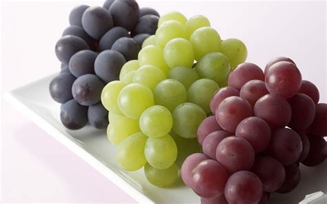 anggur buah sejuta manfaat health nutrition services