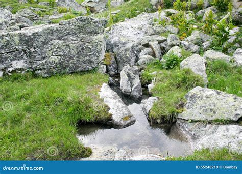 Clean And Clear Water Stream In The Mountains In A Green Valley Stock