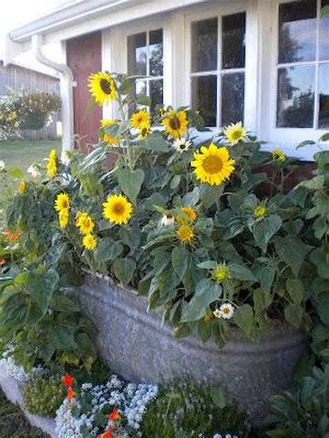 20 Beautiful Flower Garden Ideas You Will Love Sonnenblume Im Topf