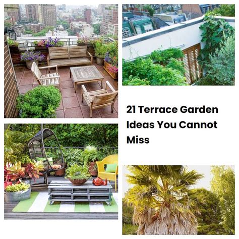 21 Terrace Garden Ideas You Cannot Miss Sharonsable