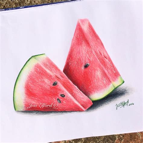 Realistic Watermelon Drawing By Jess Elford Drawn With Prismacolor