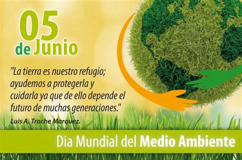 Dado que el tema de este año 2020 del día mundial del medio ambiente es la biodiversidad, tal vez sea una buena idea aprovechar el día organizando un evento o iniciativa para sus hijos y los alumnos que esté especialmente dirigido a. Imágenes para el día Mundial del Medio Ambiente