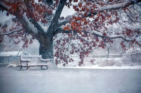 Park Bench In Winter Hd Wallpaper Background Image 2048x1358 Id