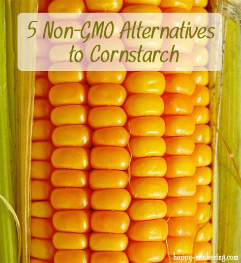 These types of modifications are usually made to improve the consistency of processed foods. Best Cornstarch Substitutes | Non gmo, Healthy ...
