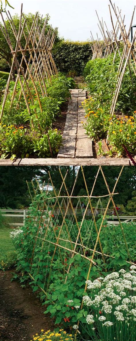 It also provides opportunities for outdoor furniture and bamboo structures. 21 EASY DIY GARDEN TRELLIS IDEAS & VERTICAL GROWING STRUCTURES