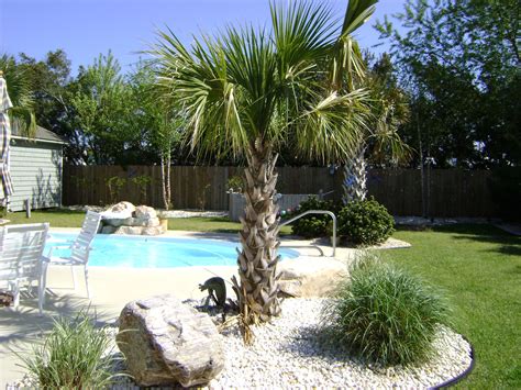 Pool Landscaping Ideas With Palm Trees