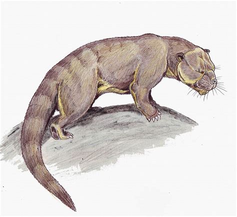 Patriofelis Prehistoric Animals Extinct Animals Paleo Art