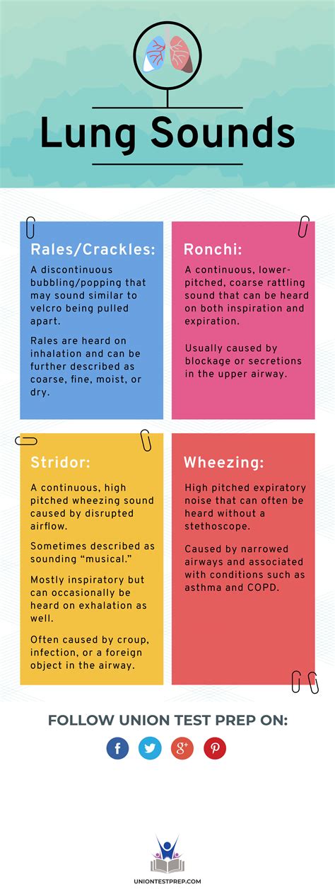 Find Out The Subtle Differences Between Each Type Of Lung Sound Here