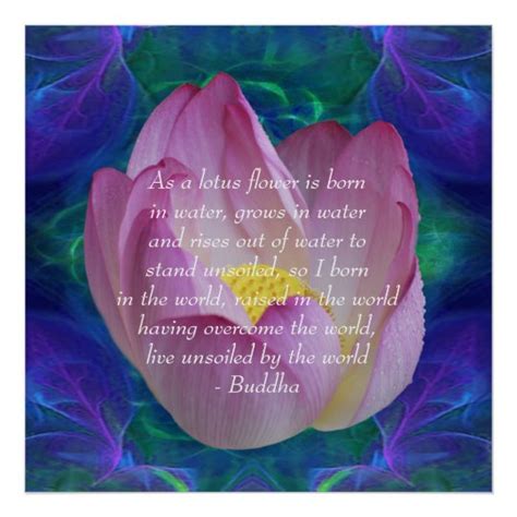 Until he died at the age of 80, buddha taught many people how to achieve enlightenment. Buddha quote Lotus flower Poster | Zazzle.com