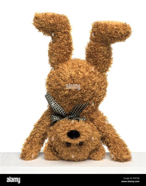 Teddy Bear Standing On Its Head Stock Photo Alamy