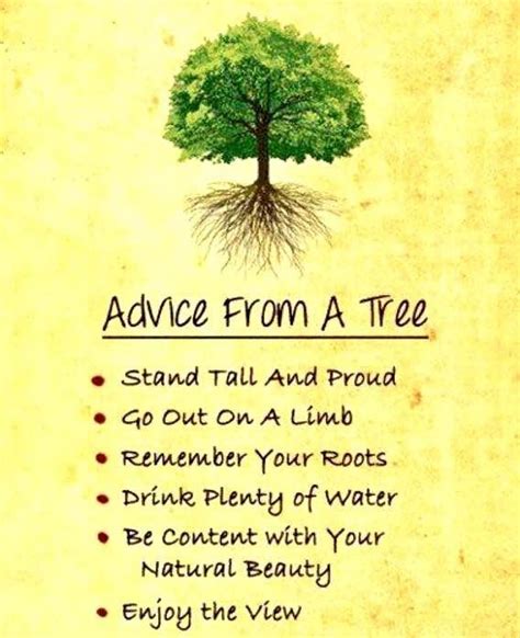 Pin By Cindy Jones On Trees Tree Quotes Inspirational Thoughts