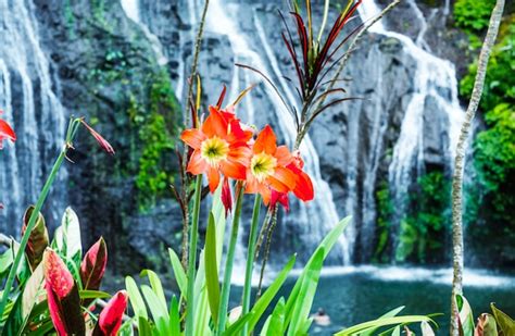 Premium Photo The Flowers On The Background Of A Waterfall Flower
