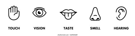 1883 5 Senses Icons Images Stock Photos And Vectors Shutterstock