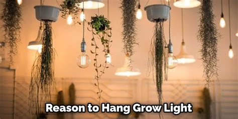 How To Hang Grow Lights From Ceiling 10 Easy Steps 2024