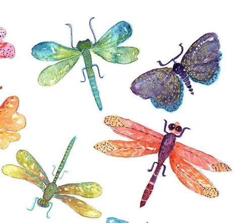 Dragonfly And Butterfly Illustrations Dragonfly Painting Etsy