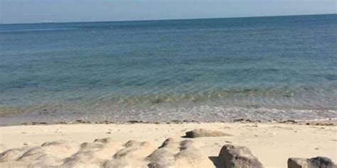 Unidentified Body Found On Anjafa Beach Timeskuwait