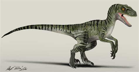 Jurassic World Velociraptor Charlie By Nikorex On Deviantart
