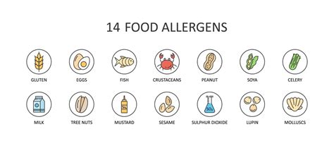 The Science And Pseudoscience Of Food Allergy And Intolerance Testing