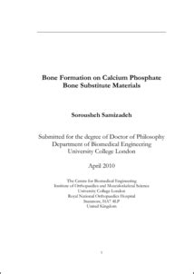 bone formation  calcium phosphate bone substitute