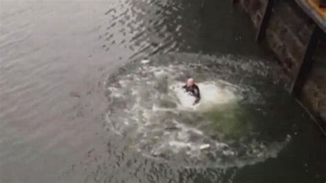 Video Hero Cop Jumps Into Frigid Waters To Rescue Woman Abc News