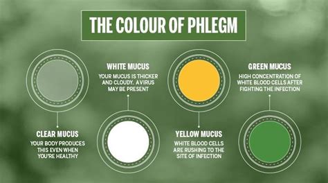 Phlegm Color Chart Lasopanode