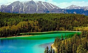 Emerald Lake in the Yukon | Magical places, Emerald lake, Beautiful lakes