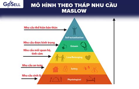 Tổng Hợp 88 Hình Về Mô Hình Hành Vi Người Tiêu Dùng Nec