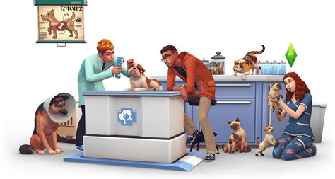 The Sims 4 Cats And Dogs Vet Render Hq Transparent