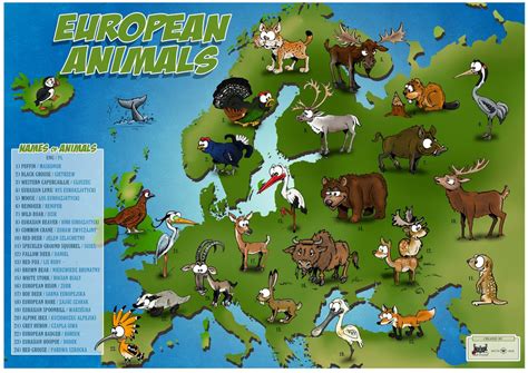 European Animals Map United Kingdom